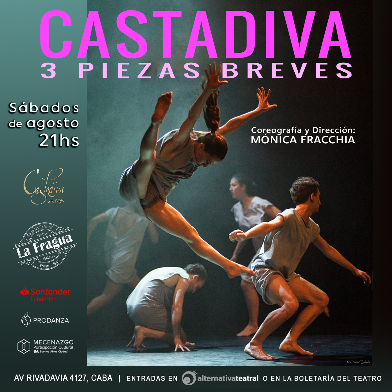 CASTADIVA_FUNCIÓN