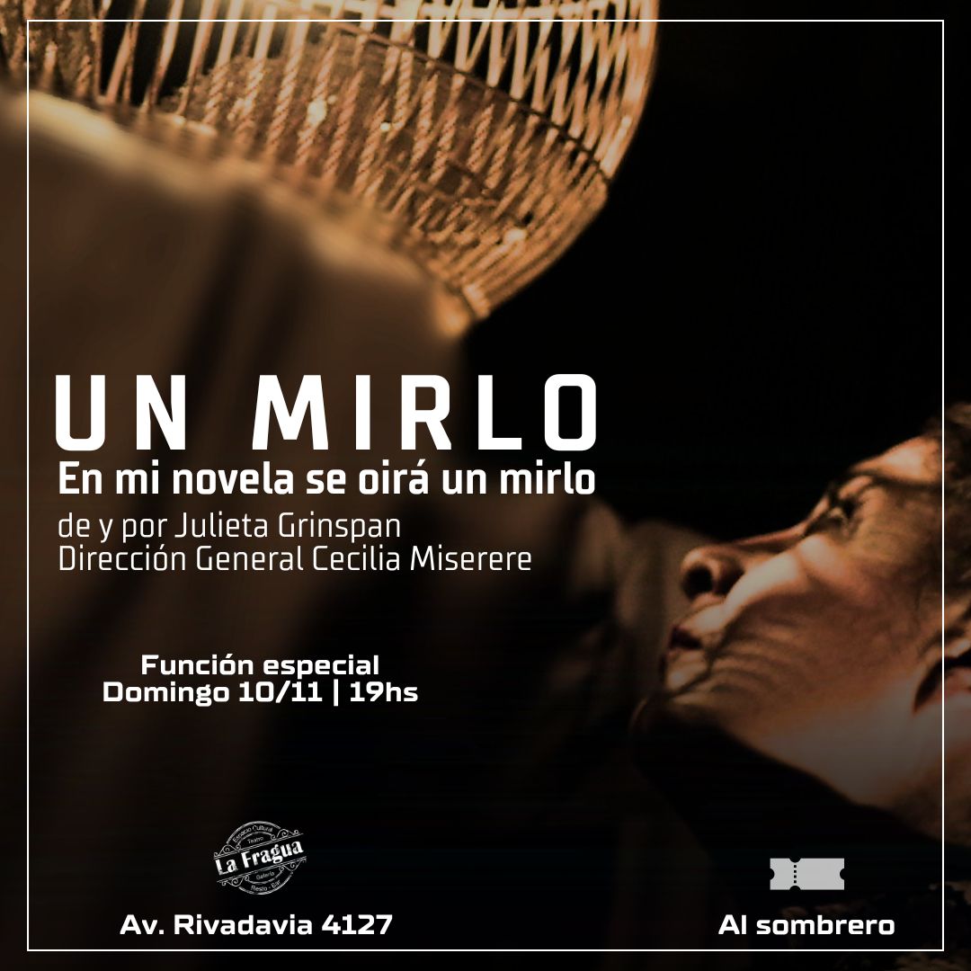 Un Mirlo